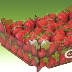 Obeikan, a driving force in food packaging innovation